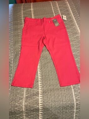 YMI Hot Pink Capri Pants
